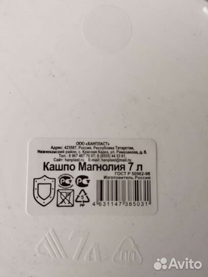 Сансевиерия