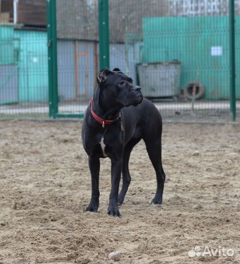 Предложение услуг