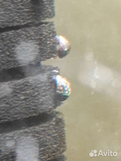 Улитка теодоксус для чистки аквариума, растения