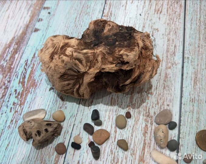 Коряги оптом. Дрифтвуд