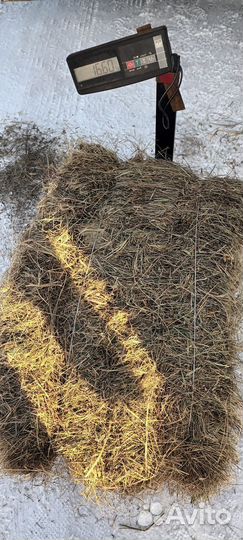 Сено в тюках