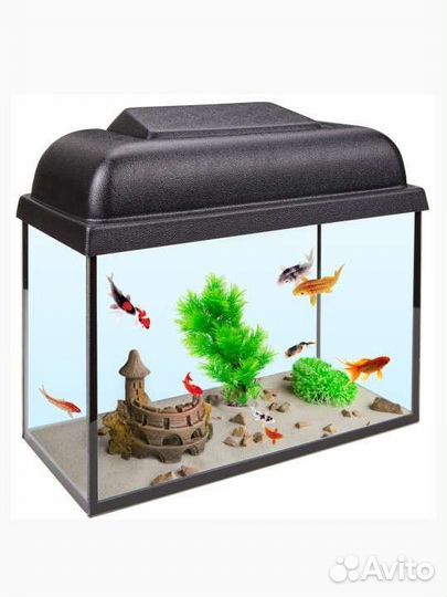 Аквариум