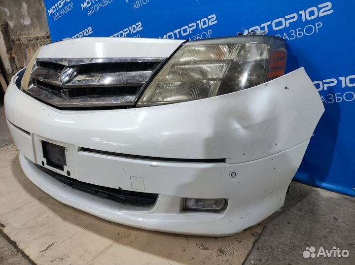 Ноускат Toyota Alphard 1