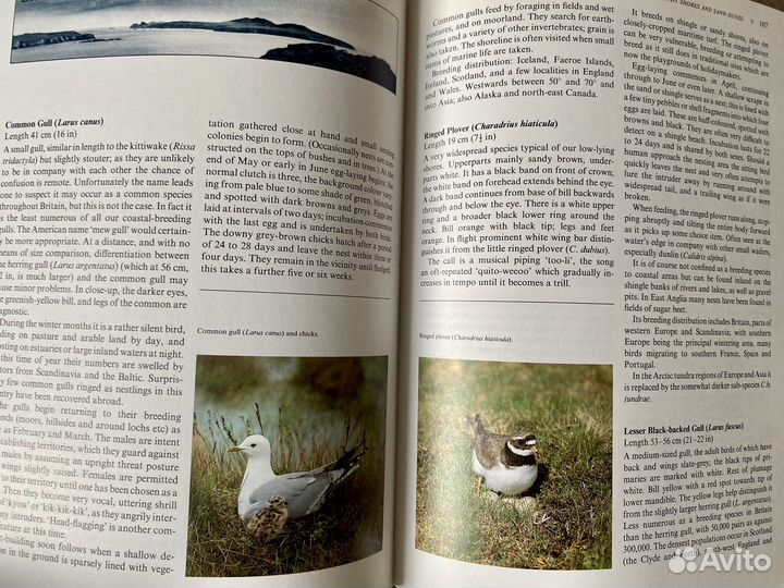 Книги на английском языке для взрослых и для детей