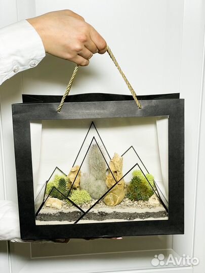 Флорариум кактусы горы подарок букет цветы