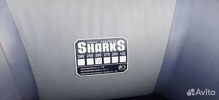 Лодка надувная Sharks 260 с установленным транцем