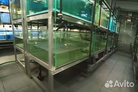 Стойка с аквариумами 4 метра