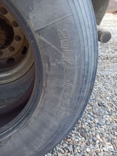 Sava Avant 4 Plus 295/80