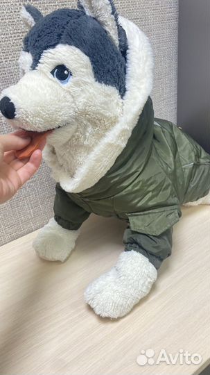 Джемпер, курточка и ботиночки