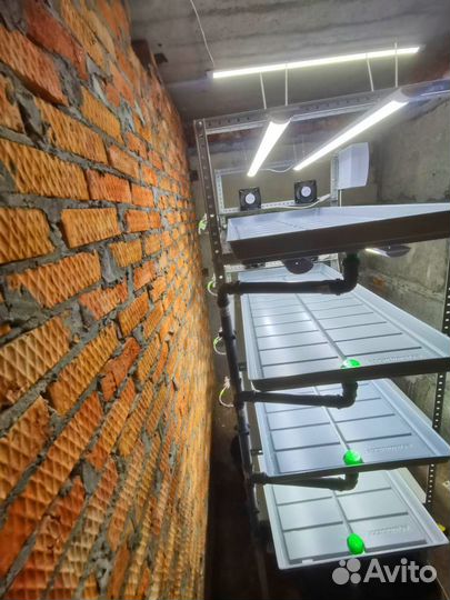 Стеллаж для гидропоники