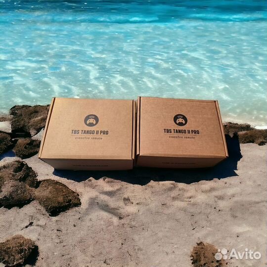 Аппаратура TBS Tango 2 Pro V4 (Оригинал)