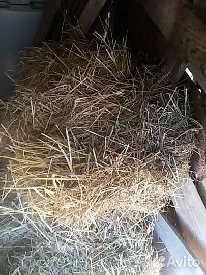 Сено в мешках