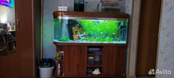 Аквариум