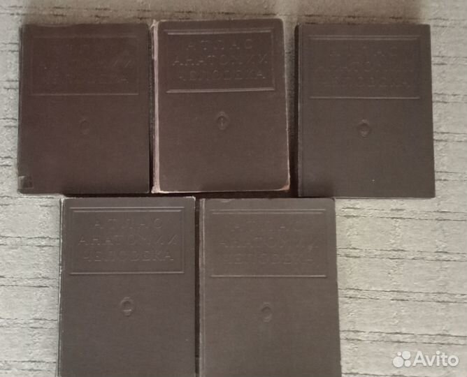 Атлас анатомии человека. В.П. Воробьев 1946г