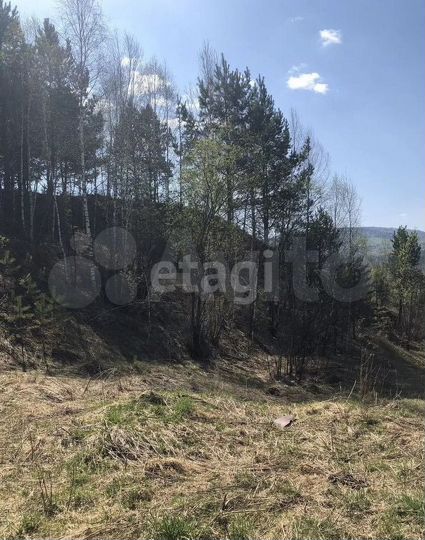 Участок 24 га (СНТ, ДНП)