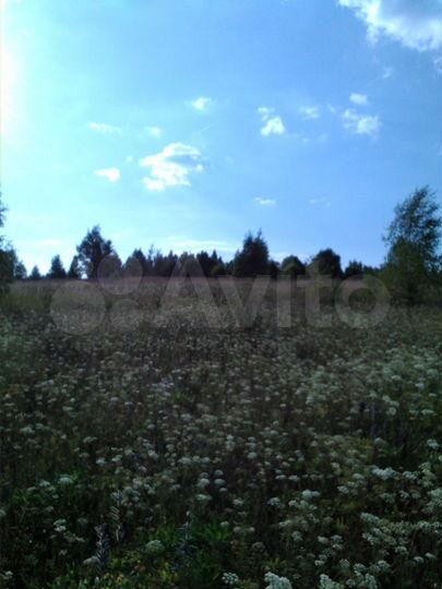 Участок 1,6 га (СНТ, ДНП)