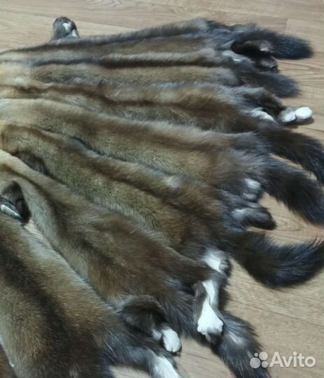 Шкурки соболя