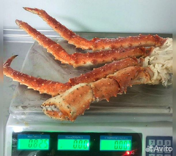 Конечности камчатского краба