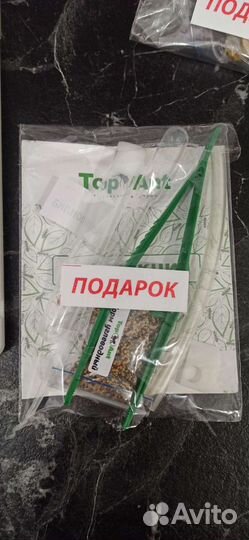 Муравьиная ферма (формикарий)