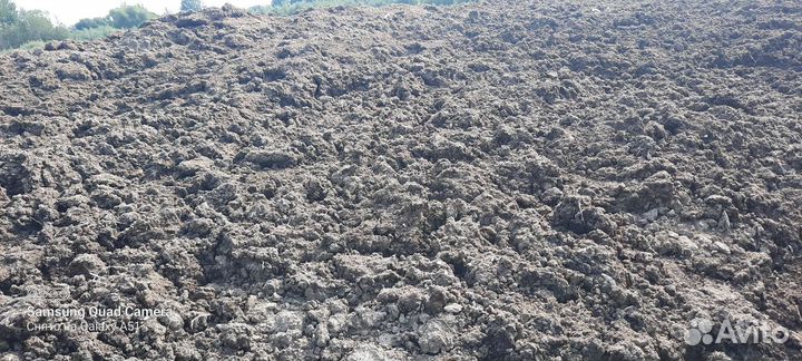 Коровий навоз, перегной