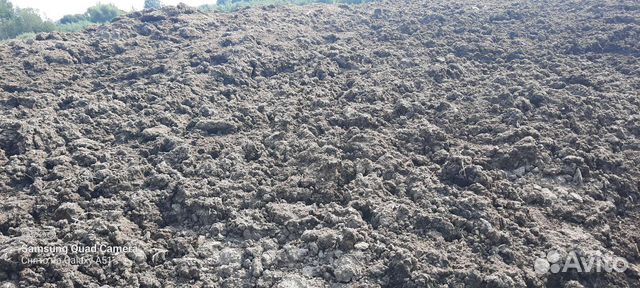 Коровий навоз, перегной