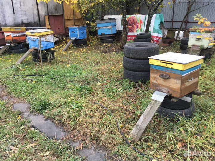 Ульи для пчел