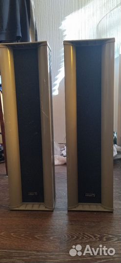 Уличная двухполосная звуковая колонна CS-830