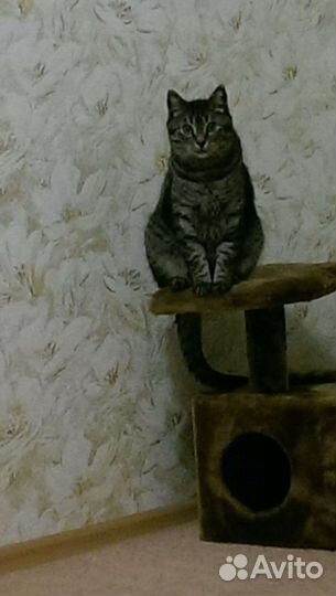 Передержка