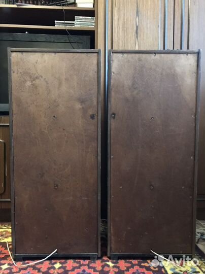 Акустика эстония