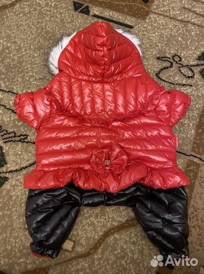 Куртка для маленькой собаки