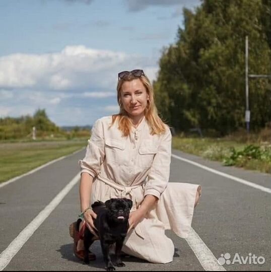 Догситтер