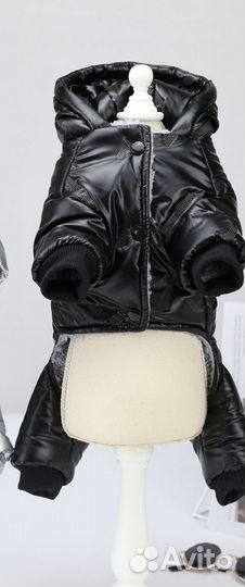 Комбинезон для собаки