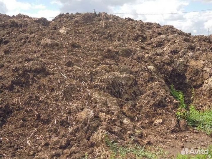 Конский перегной, доставка от 50ти мешков