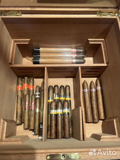 Хьюмидор для сигар Prometheus