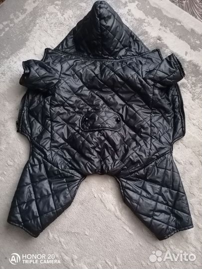 Одежда для собак