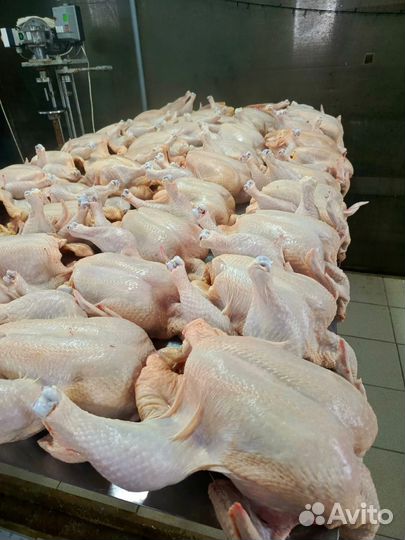 Домашнее мясо индюков от Иды Индейкиной