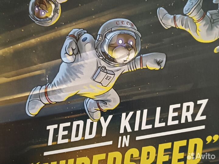 Виниловая пластинка Teddy Killerz