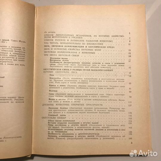 Звуки в жизни зверей