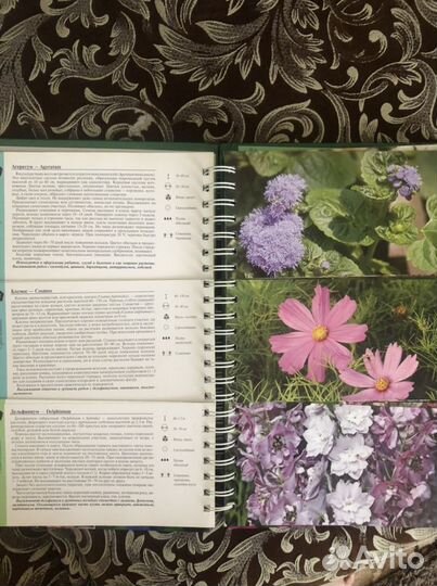 Подарочная книга