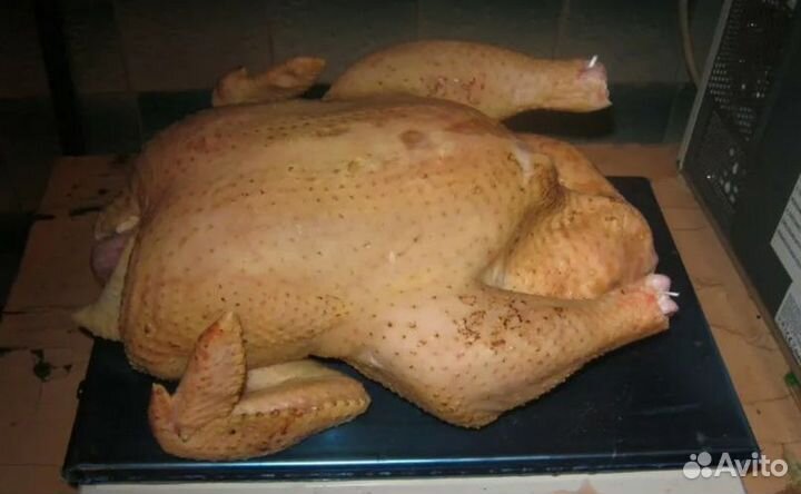 Мясо бройлера