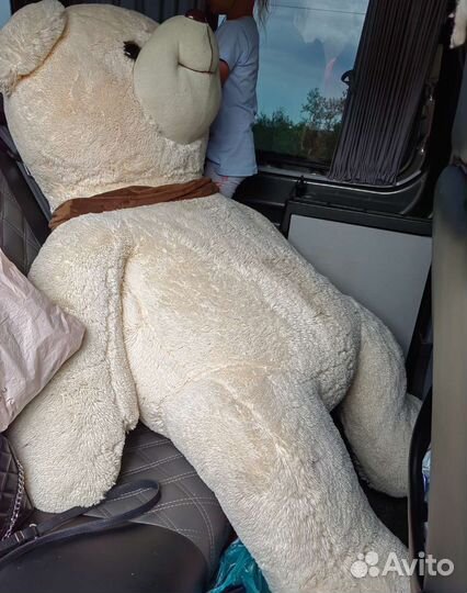 Плюшевый медведь