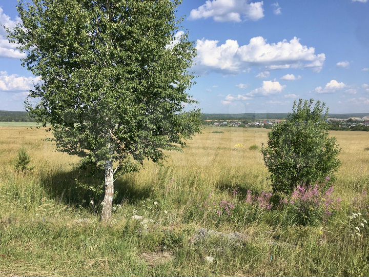 Участок 15 сот. (ИЖС)