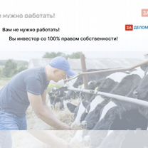 Животноводческое агентство в городе, Гомель