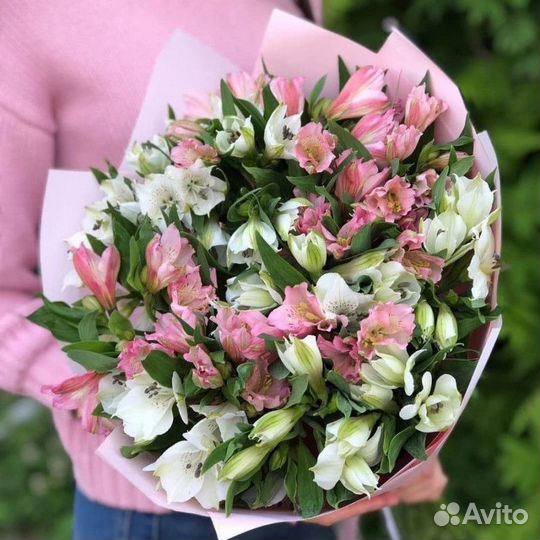 Огромный Букет из Альстромерий Доставка