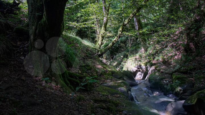 Участок 9,5 сот. (ИЖС)