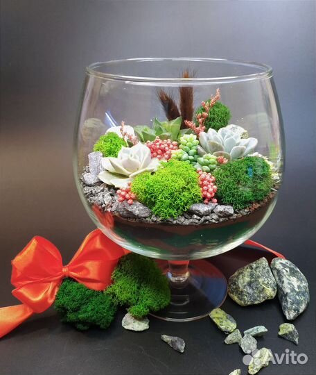 Флорариум Подарок Цветы