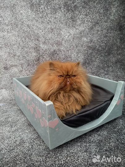 Лежанка для животных на колесиках