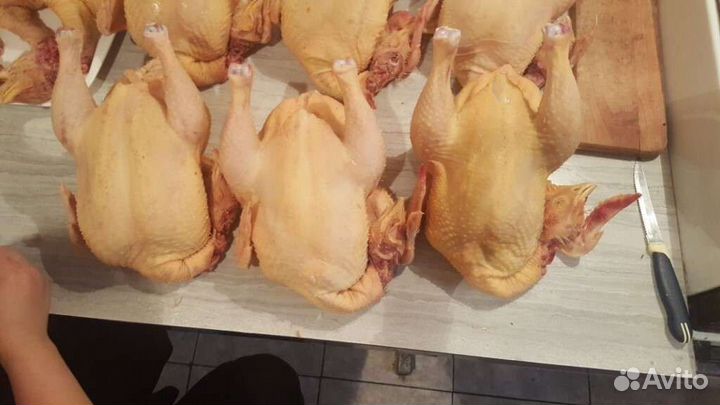 Мясо домашнего бройлера