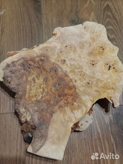 Кап березовый