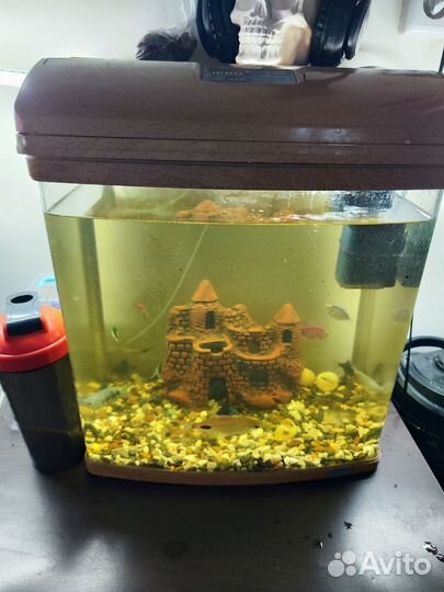 Аквариум джебо r 338